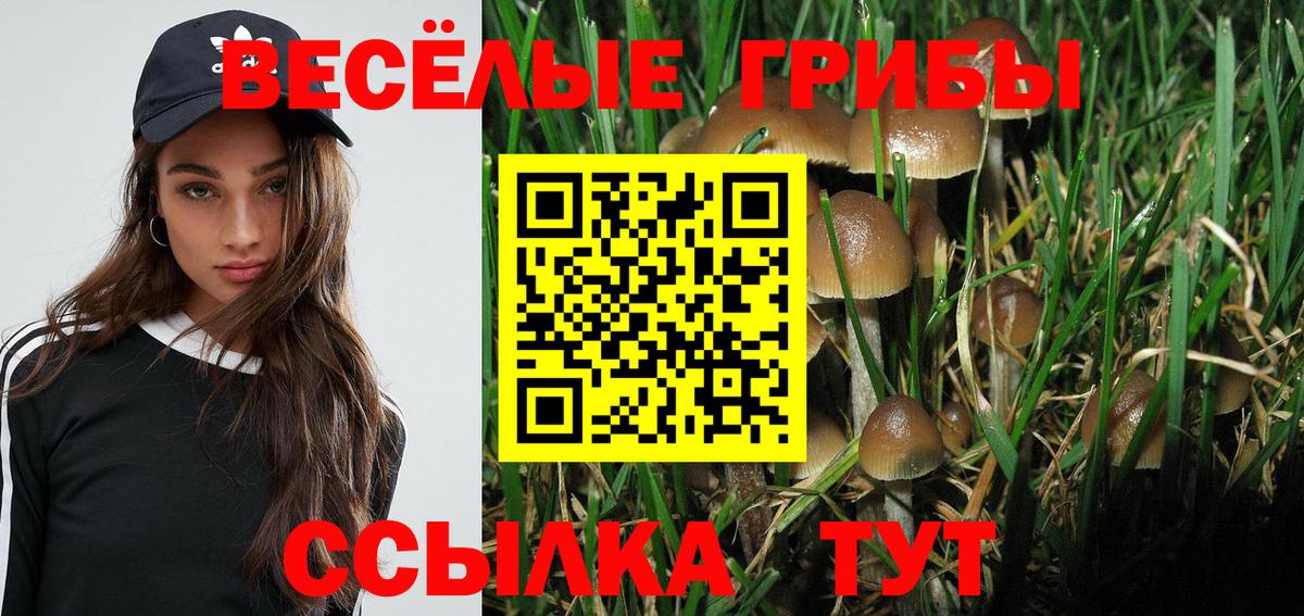 Галлюциногенные грибы Psilocybine cubensis Кушва